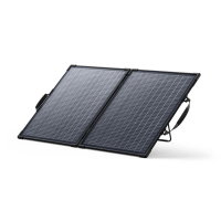  PS100 Bifacial - 100W
