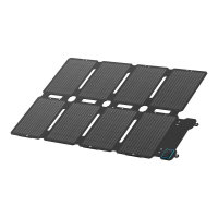 PS100X - 100W