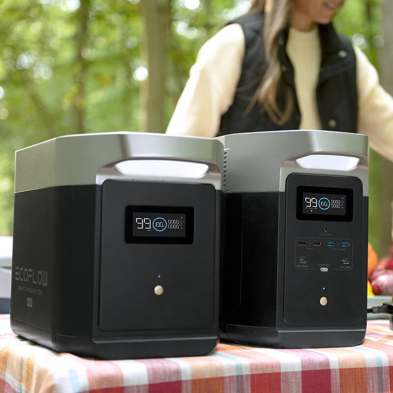Ecoflow Delta Max 2000 Power Station - EU version