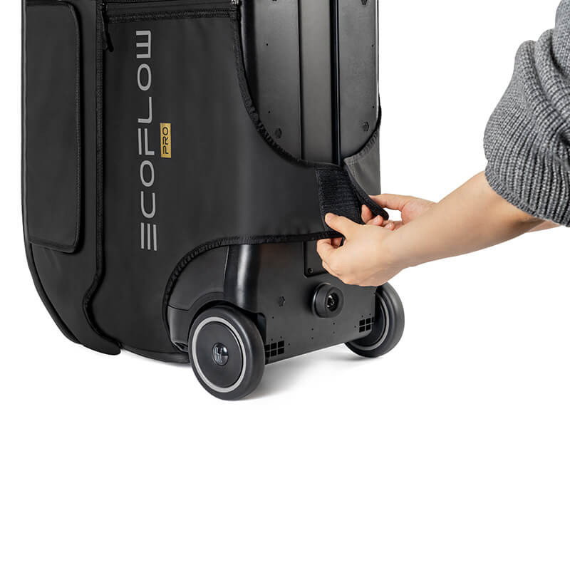EcoFlow Delta Pro Bag EcoFlow Delta Pro Bag