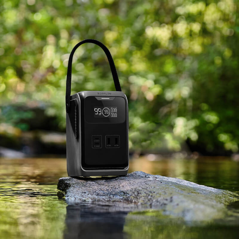 EcoFlow TRAIL 200 DC Portable Power Station